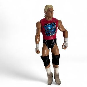 Mattel WWE Dolph Ziggler Action Figure Pink Shirt You Wish You Could 6" Toy